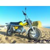SKYTEAM 125cc 4 stroke T-REX RV90 on road beach motorcycle (EEC EUROIII EURO3 approval, 5.5-10"