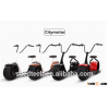 Pleasedin 2016 citycoco 2 wheel electric scooter, adult big wheels electric motorcycle