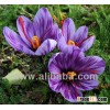 Saffron