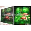 440gsm 500D*500D printable PVC flex banner reflective banner