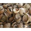 coconut shell powder coconut shell charcoal