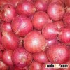 onion