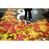 Motion Magic Interactive Floor & Wall Projection