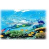 5 days 4 night kuala Lumpur+Pangkor island free & easy tour