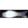 lampion lantern Nobori Fish agent
