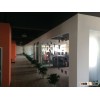 business agent,international agent wanted