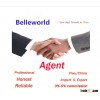Yiwu China Buying Agent