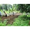 AMAZONAS Rain Forest Real Estate agent