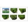 golf court artificial grass