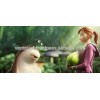 2d animation programs