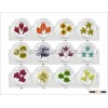 kaho art nail factory wholesale samll order nail accessories high quality cosmetics miami