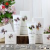 30Ml Cheap Hotel Fragrance Shampoo