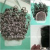 Curly Virgin hair lace top closure