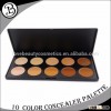 Hot product 10 color concealer palette