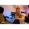 Garra rufa Fish SPA set for feet (for 1 person)