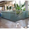 Stainless steel shoe base glass rails u channel glass railing frameless glass balustrade