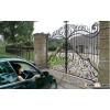 Latest new product main gate designs
