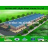 steel structure/ steel structure building