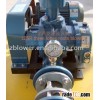 pneumatic transmission roots blower