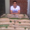 WE SUPPLY TOP QUALITY ENPLUS A1 GRADE BIOMASS WOOD PELLETS