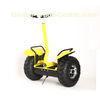 Electric Scooter Segway People Mover For Adult 125Kg Max. Load Lead Acid Battery
