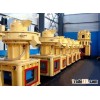 China Wood Particle Pellet Machine