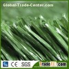 Green Football Grass