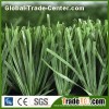 Rural Green Football Grass