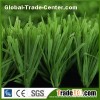 Fruit Green Football Grass