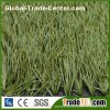 Olive Green Football Grass