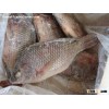 High Quality Seafood Red & Black Frozen Tilapia