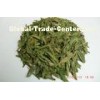 Chinese Fresh Organic Longjing Green Tea Leaves With EU Standard