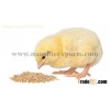 Offer To Sell Poultry Feed
