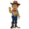 toys story woody costumes