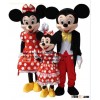 Mickey mouse costume