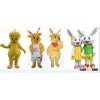 custom mascot,custom costume