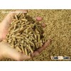 small wood pellet mill/Fote Wood Pellet Mill/Wood Pellet Mill