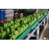 Fresh Fruits,Apple,Pineapple,Water Melon,Magoes,Banana,Strawberry