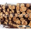 Timber PINE LOGS
