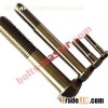 Titanium Hex Cap Bolts6Al4V
