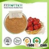 Red Dates Powder