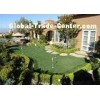 Home Decorative Residential Artificial Grass Outdoor With High UV Stability