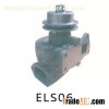 Water pump ELS06