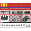 Repair Kit VE pump parts