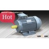 Induction Motor-2p