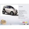 E-car
