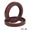 oil seal