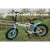 Portable Fat Tire Electric Bike 250W Brushless Hub Motor Suspension