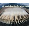 Three Gorges Dam Tour