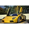 Remote Control Automatic Universal Lambo Doors Kit